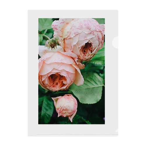 ROSE PRINT 🌹🤍 Clear File Folder