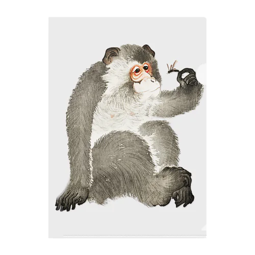 小原古邨　猿と蜻蛉（猿と虫）Ohara Koson / Monkey with insect Clear File Folder