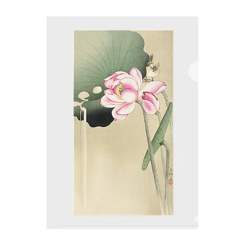 小原古邨　蓮と雀　Ohara Koson / Songbird and Lotus Clear File Folder