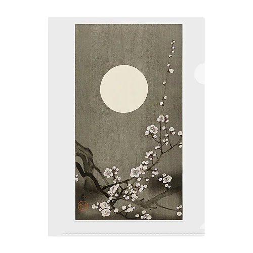 小原古邨　満月に咲く梅の花　Ohara Koson / Blooming plum blossom at full moon  Clear File Folder