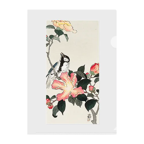 小原古邨　椿に四十雀  Ohara Koson / Great tit on branch with pink flowers  Clear File Folder