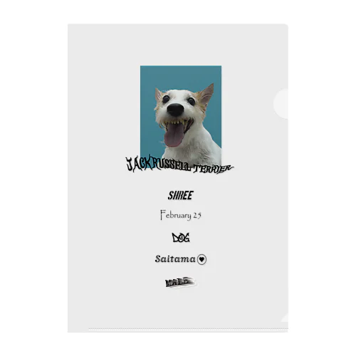 dog Clear File Folder