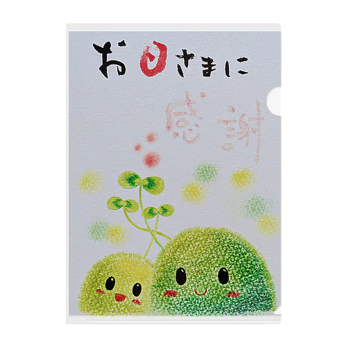 苔ちゃん　お日さまに感謝 Clear File Folder