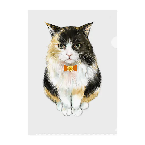 にゃんこちゃん Clear File Folder