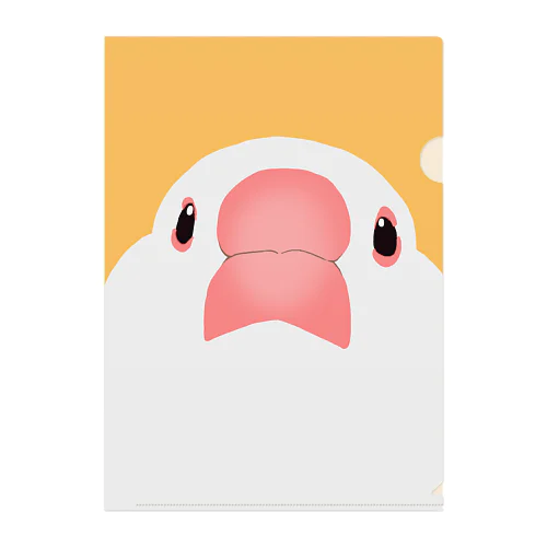 目が合ってしまう白文鳥 Clear File Folder