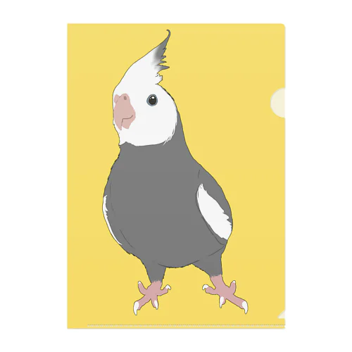 あんよが可愛いWFオカメインコ Clear File Folder