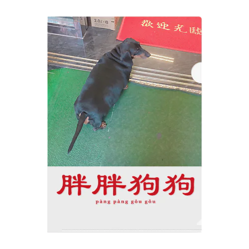 胖胖狗狗（太った犬） Clear File Folder