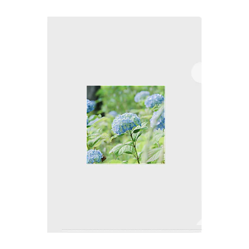 hydrangeas Clear File Folder