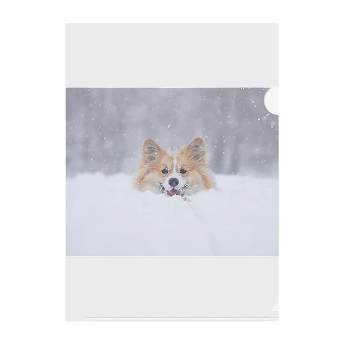 コーギー犬もこすけグッズ Clear File Folder