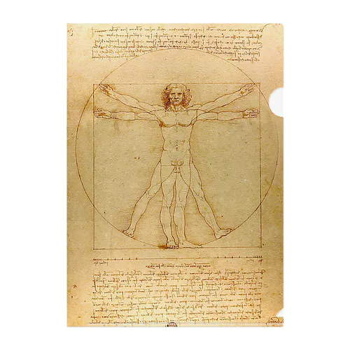 ウィトルウィウス的人体図 / Vitruvian Man クリアファイル