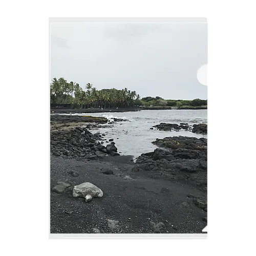 ハワイ島 ブラックビーチとウミガメ クリアファイル