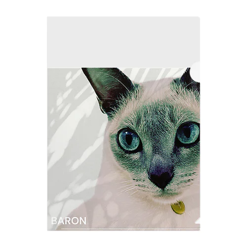BARON+30 /100 Clear File Folder