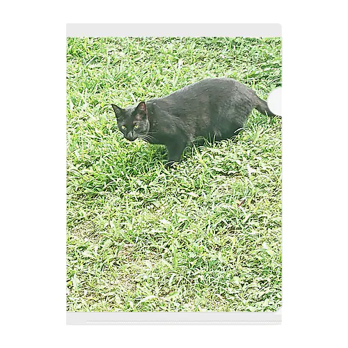 黒猫カカオの庭 クリアファイル