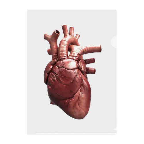 THE Heart Clear File Folder