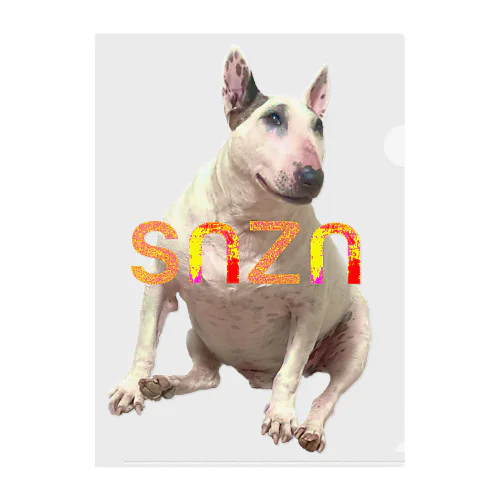 snzn_BullTerrier クリアファイル