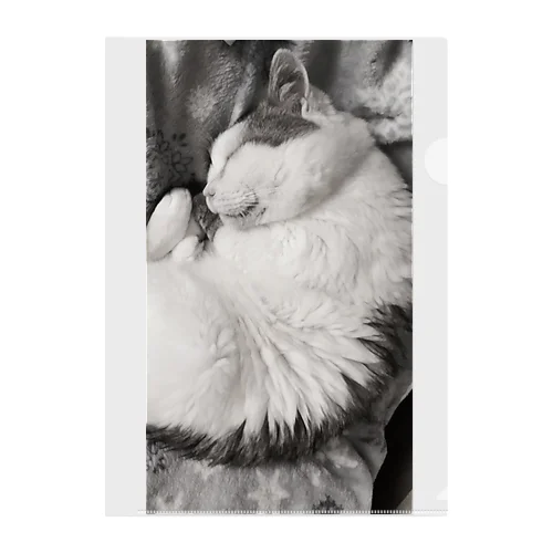可愛い猫のお昼寝　癒し Clear File Folder