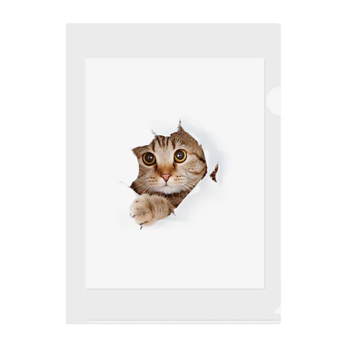 White Free Cute Funny Cat T-shirt Clear File Folder