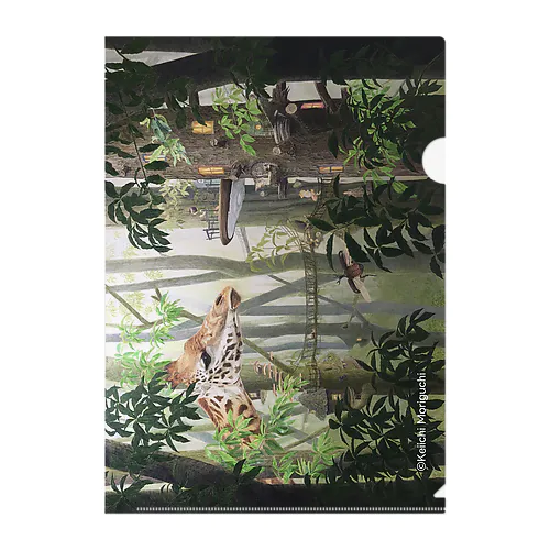 色鉛筆画『朝靄の中で』クリアファイル Clear File Folder