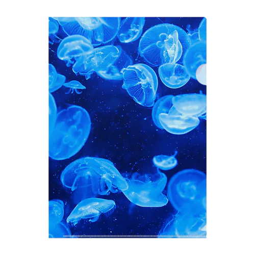 Jellyfish=海月 Clear File Folder