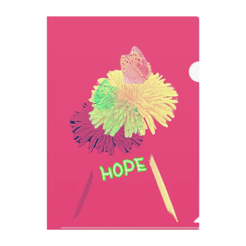 HOPE Clear File Folder
