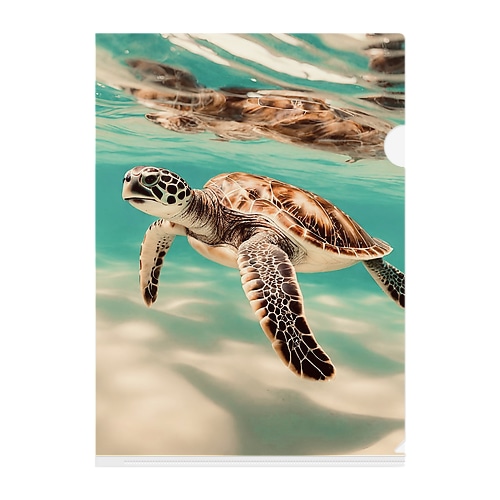 ウミガメグッズ Clear File Folder