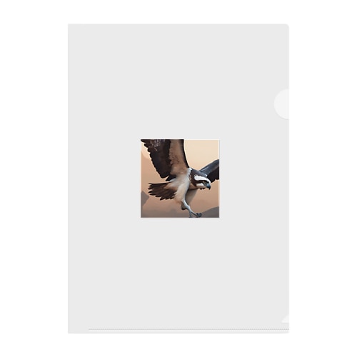 ミサゴ (Osprey) Clear File Folder