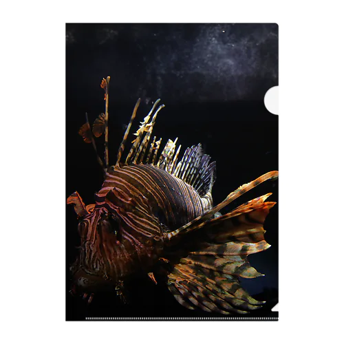 ミノカサゴ Clear File Folder