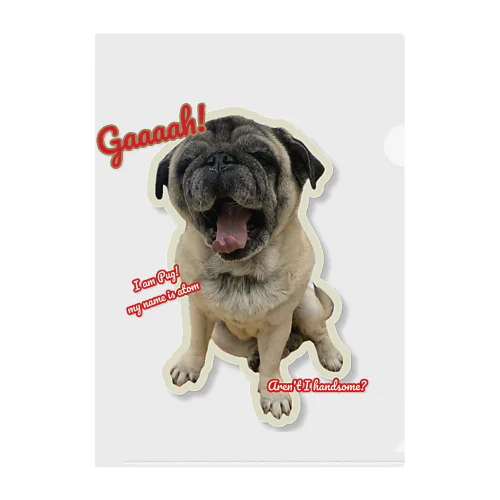 I am Pug!　 Clear File Folder