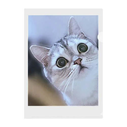 猫の名前はレオ Clear File Folder