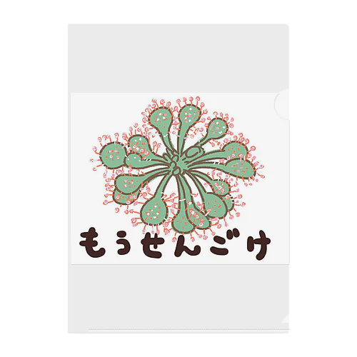 食虫植物　モウセンゴケ クリアファイル