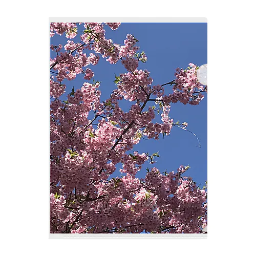 桜🌸 クリアファイル