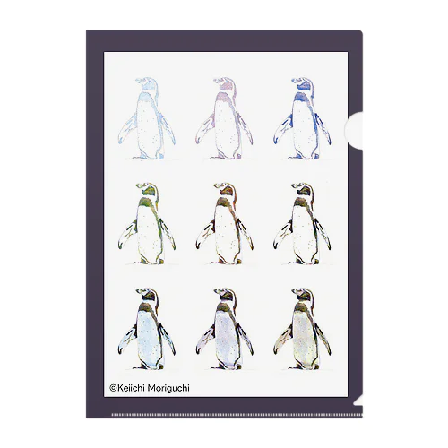 色鉛筆画　『フンボルトペンギン』 Clear File Folder