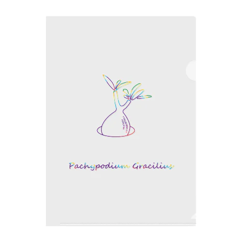 Pachypodium Gracilius Clear File Folder