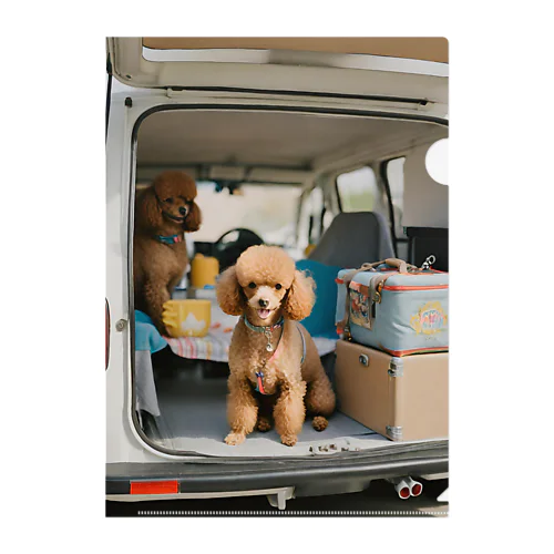 Vanlife dog 可愛いトイプードル クリアファイル