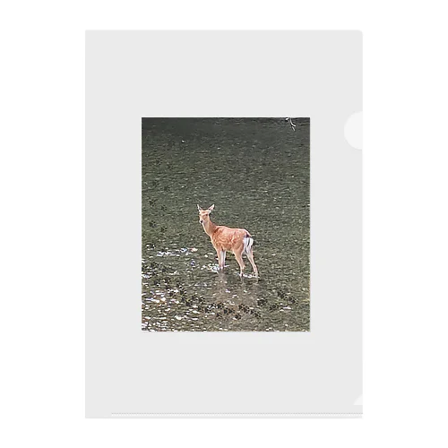 DEeR Clear File Folder