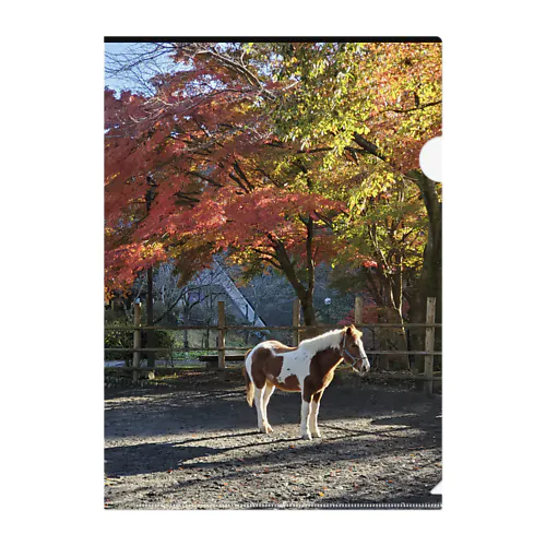 紅葉とポニー クリアファイル