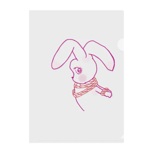 縄兎ちゃん/rope bunny （能登半島地震応援アイテム） クリアファイル