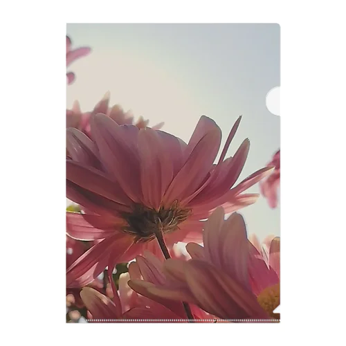 やさしい色の花 Clear File Folder