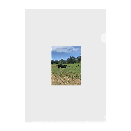 Farm Clear File Folder