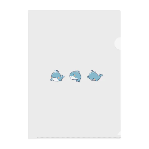 sweet Clear File Folder