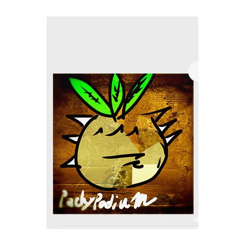 Pachypodium  Clear File Folder