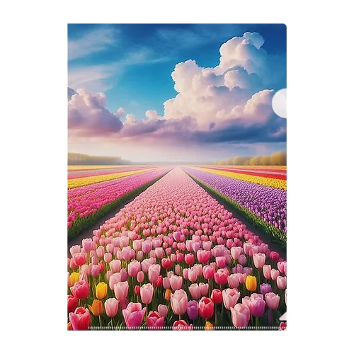 壮大な風景✨チューリップ🌷バージョン🌈 Clear File Folder