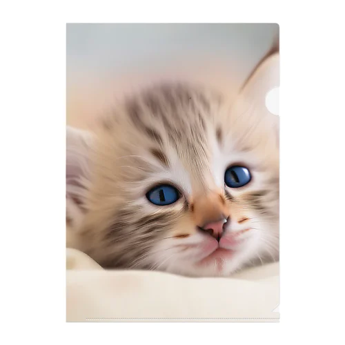 😺癒し猫シリーズ💖 Clear File Folder