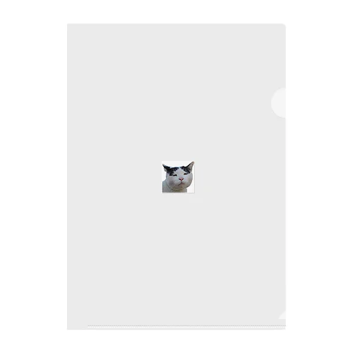 ブサかわ猫　ベン Clear File Folder