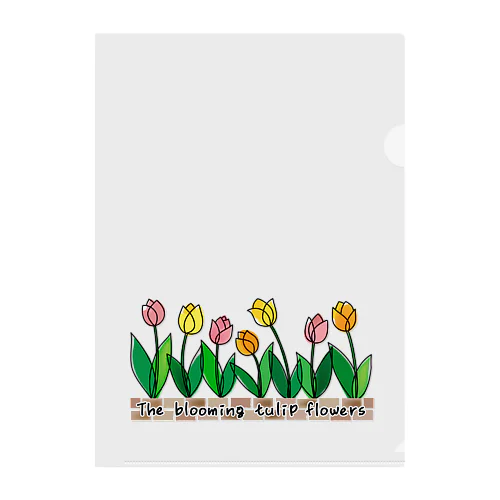 The blooming tulip flowers Clear File Folder