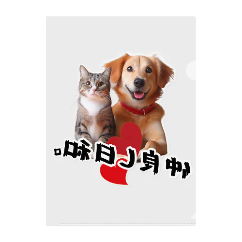 犬と猫の仲良し日和 クリアファイル