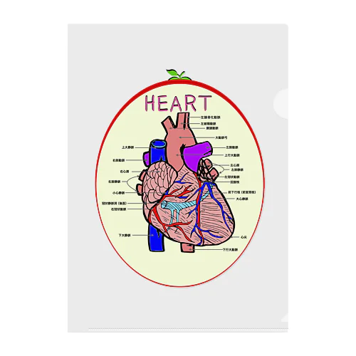 心臓　HEART クリアファイル
