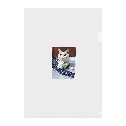 ねこちゃん、 Clear File Folder