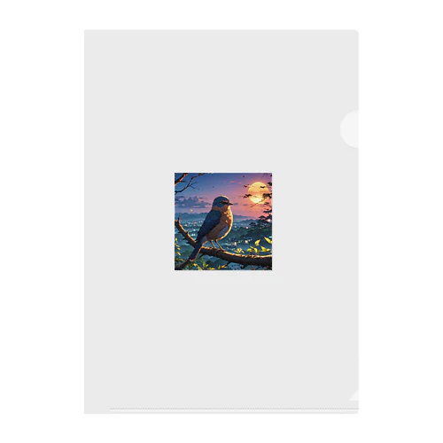 bird Clear File Folder