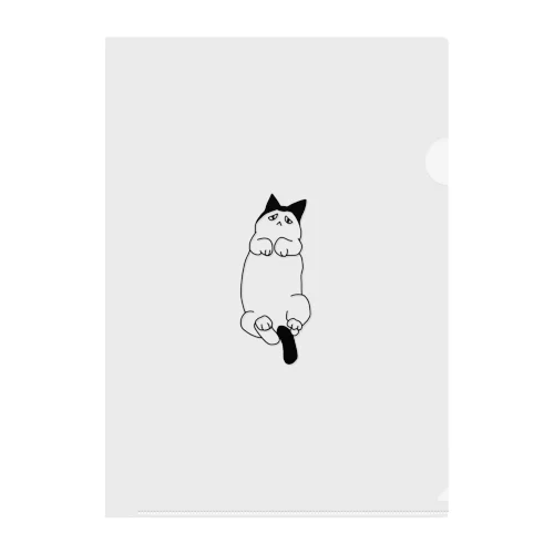 LazyCat Clear File Folder